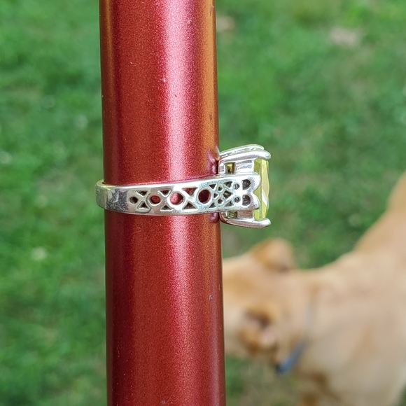 Lia Sophia Appletini - Picture 3 of 4